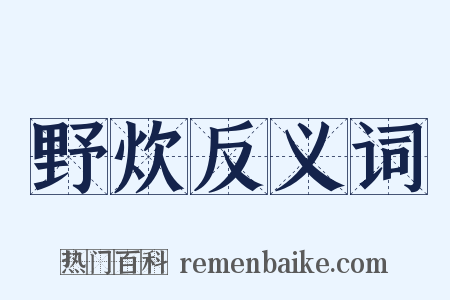 野炊反义词是什么意思的图片